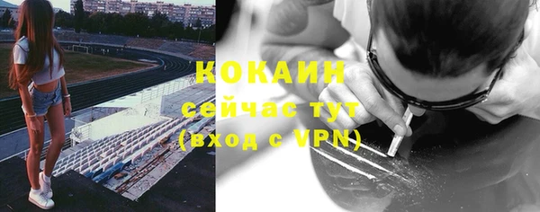 таблы Богородицк