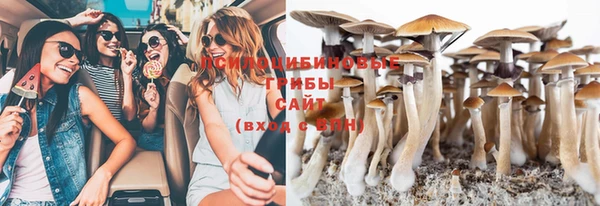 а пвп мука Богданович